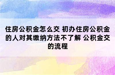 住房公积金怎么交 初办住房公积金的人对其缴纳方法不了解 公积金交的流程